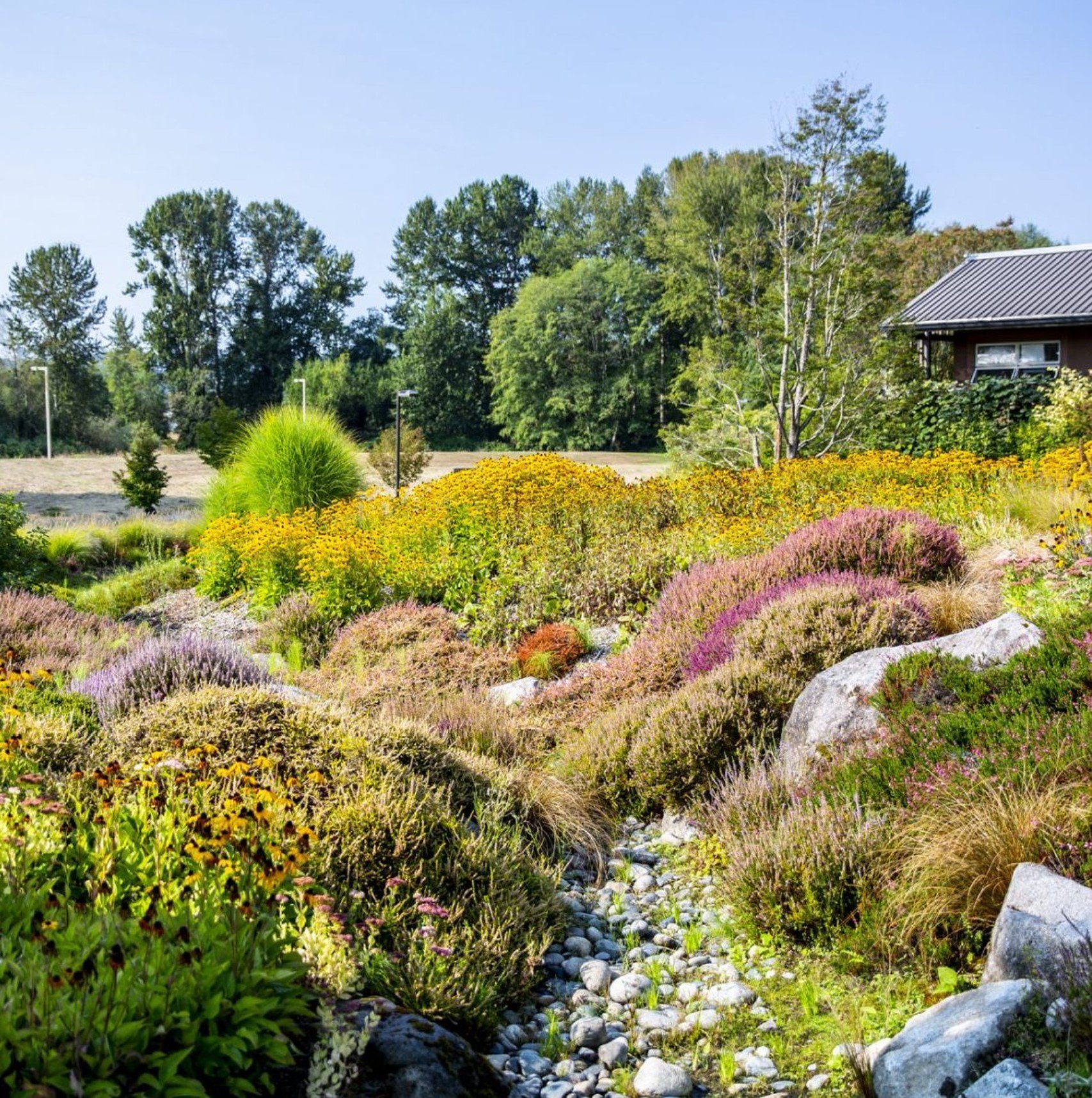 University of Washington Botanic Gardens