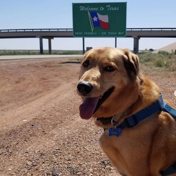Texas Norris