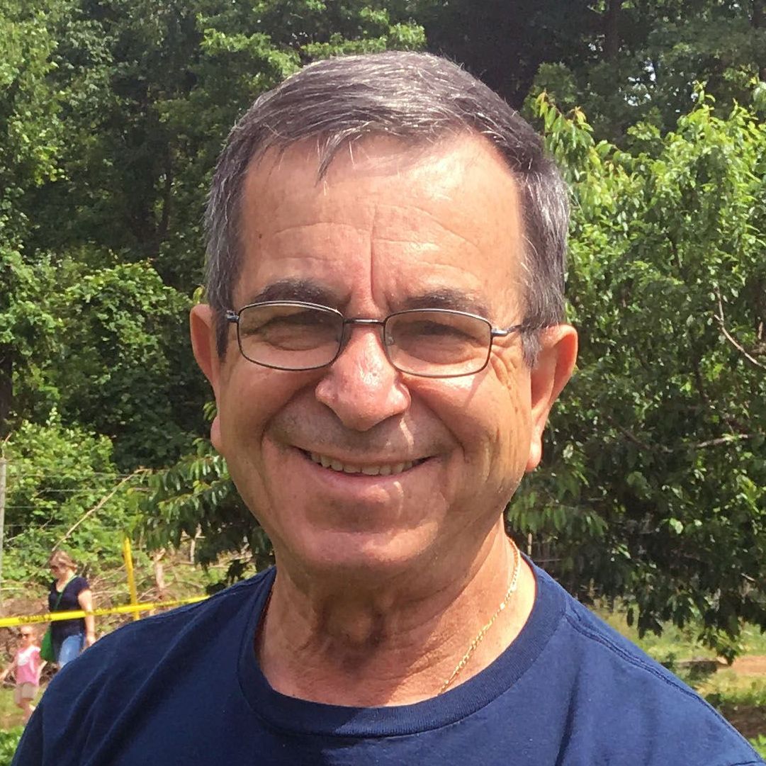 Luis De Castro-Brilhante