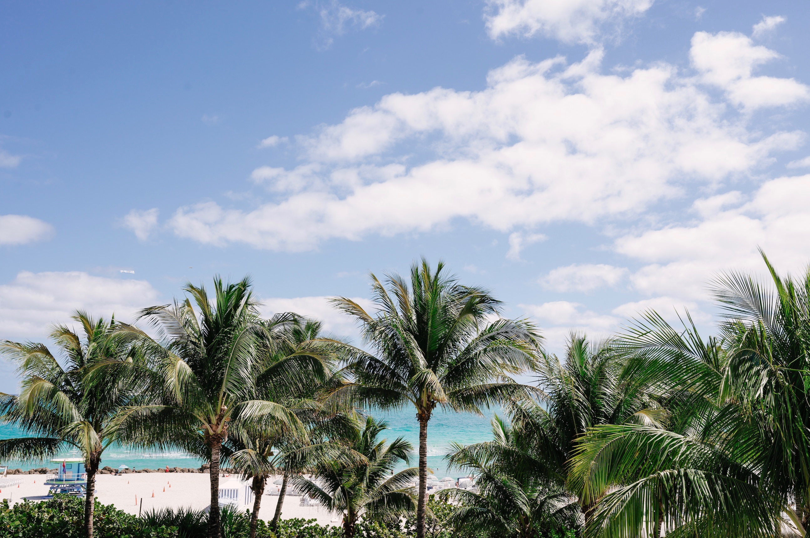 Travel & Hotels