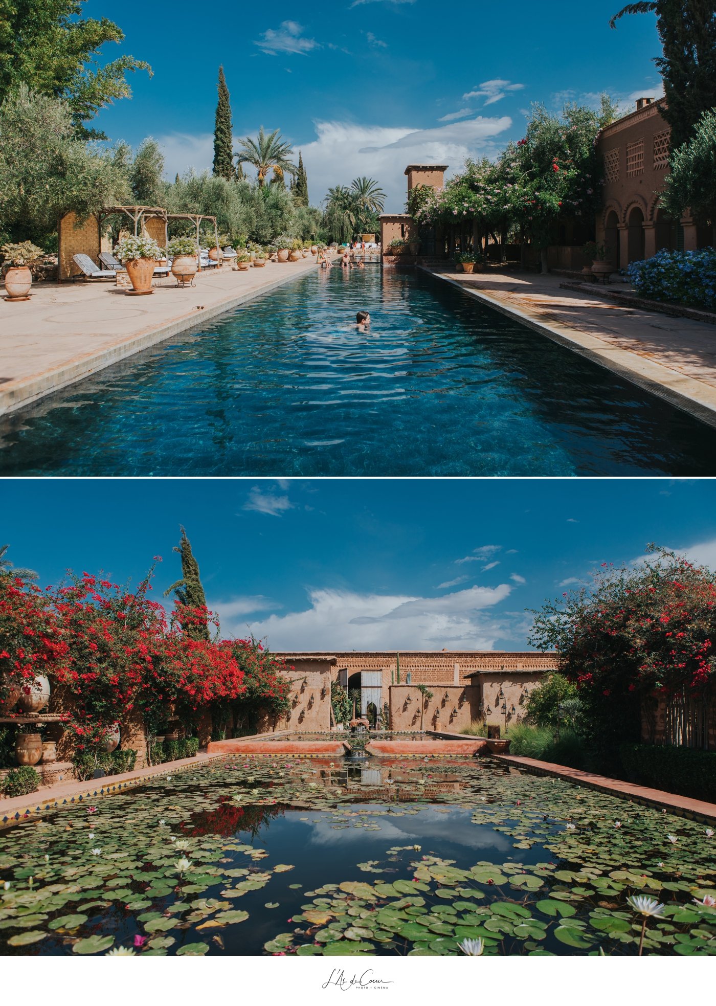 Hotels