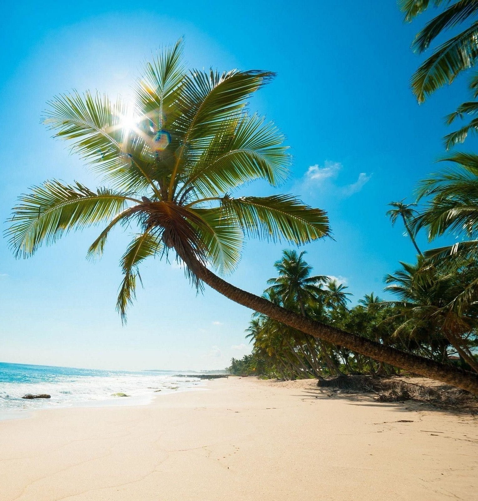 THE FIVES BEACH RESORT