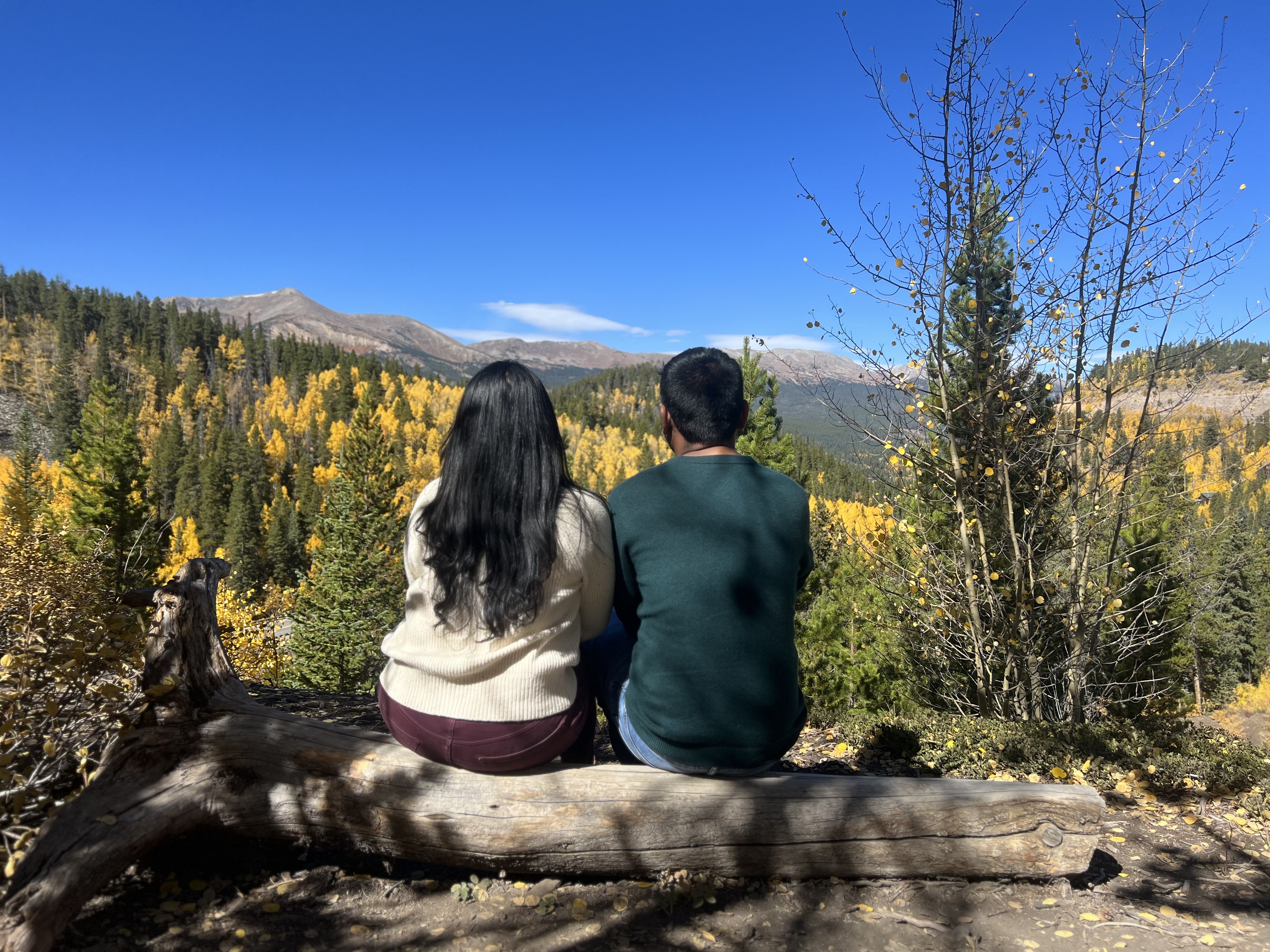 Manjari Pedapudi & Srikar Appana's Wedding site