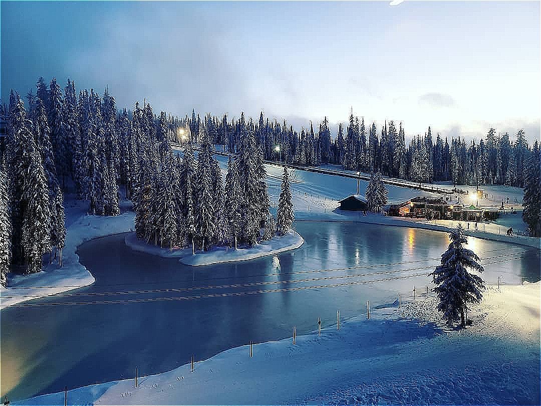 Brewer's Pond