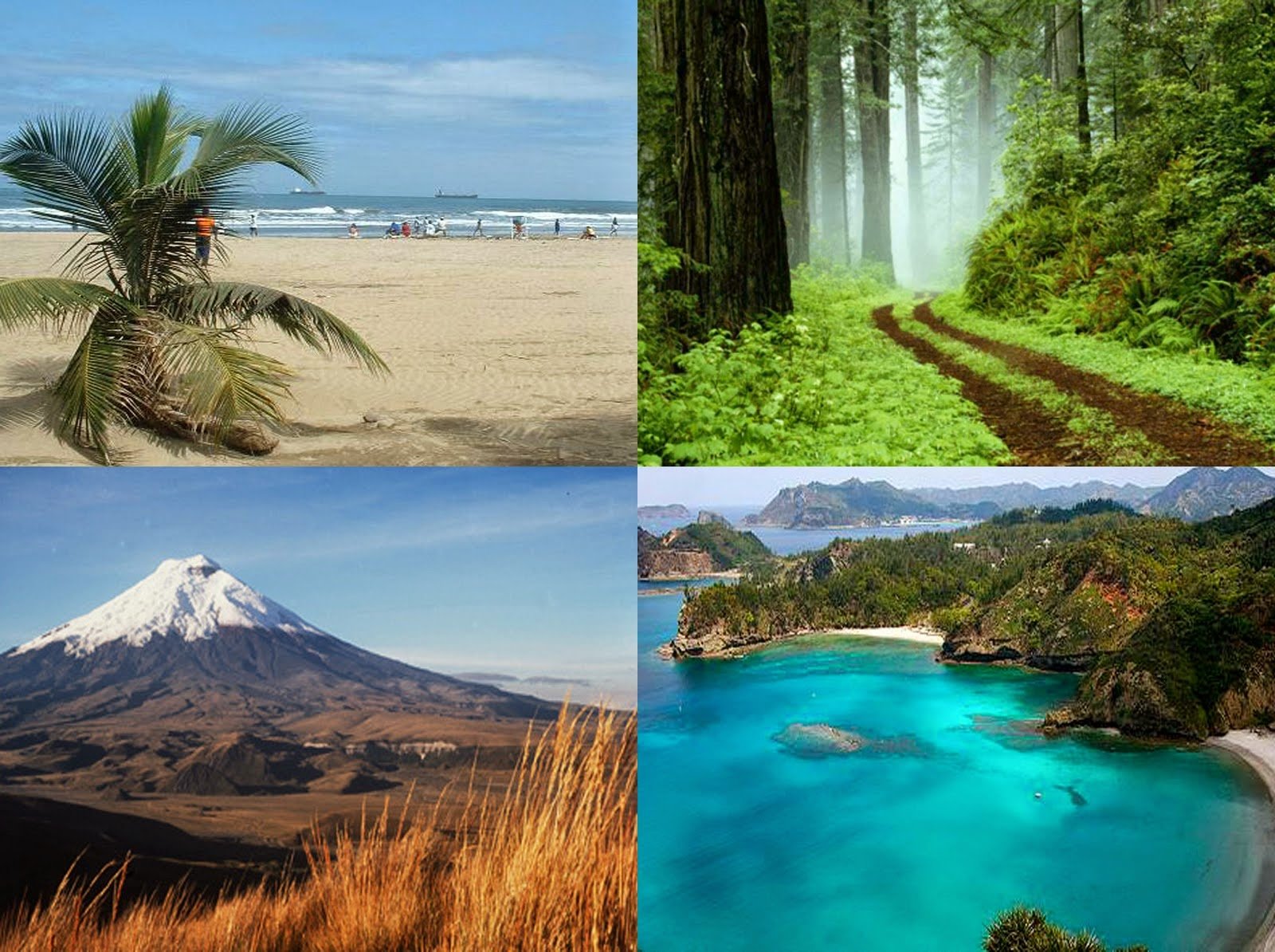 About Ecuador/ Sobre Ecuador