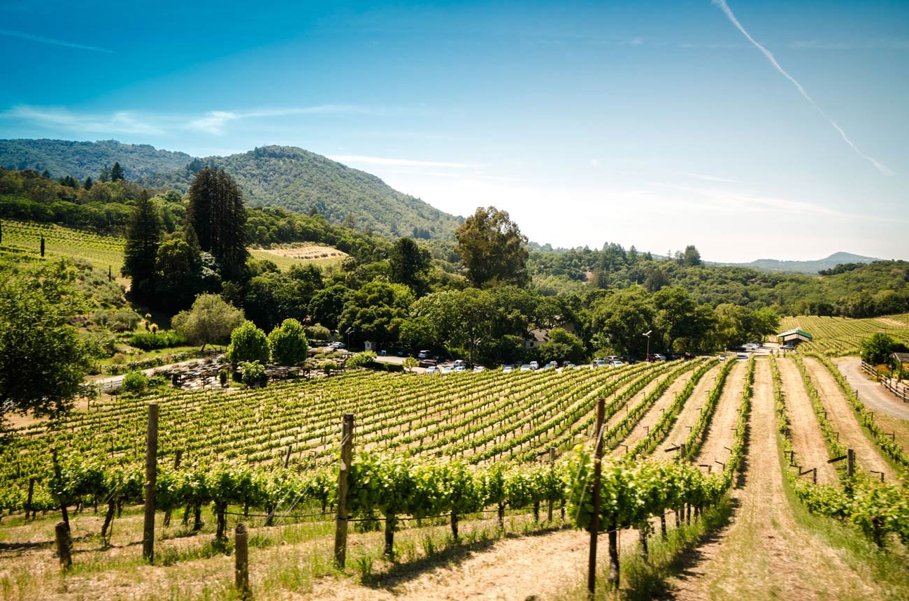 Sonoma Wine Country