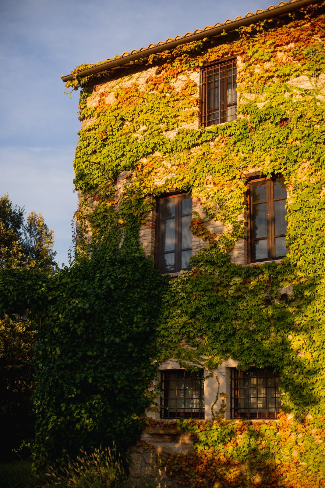 Accomodation