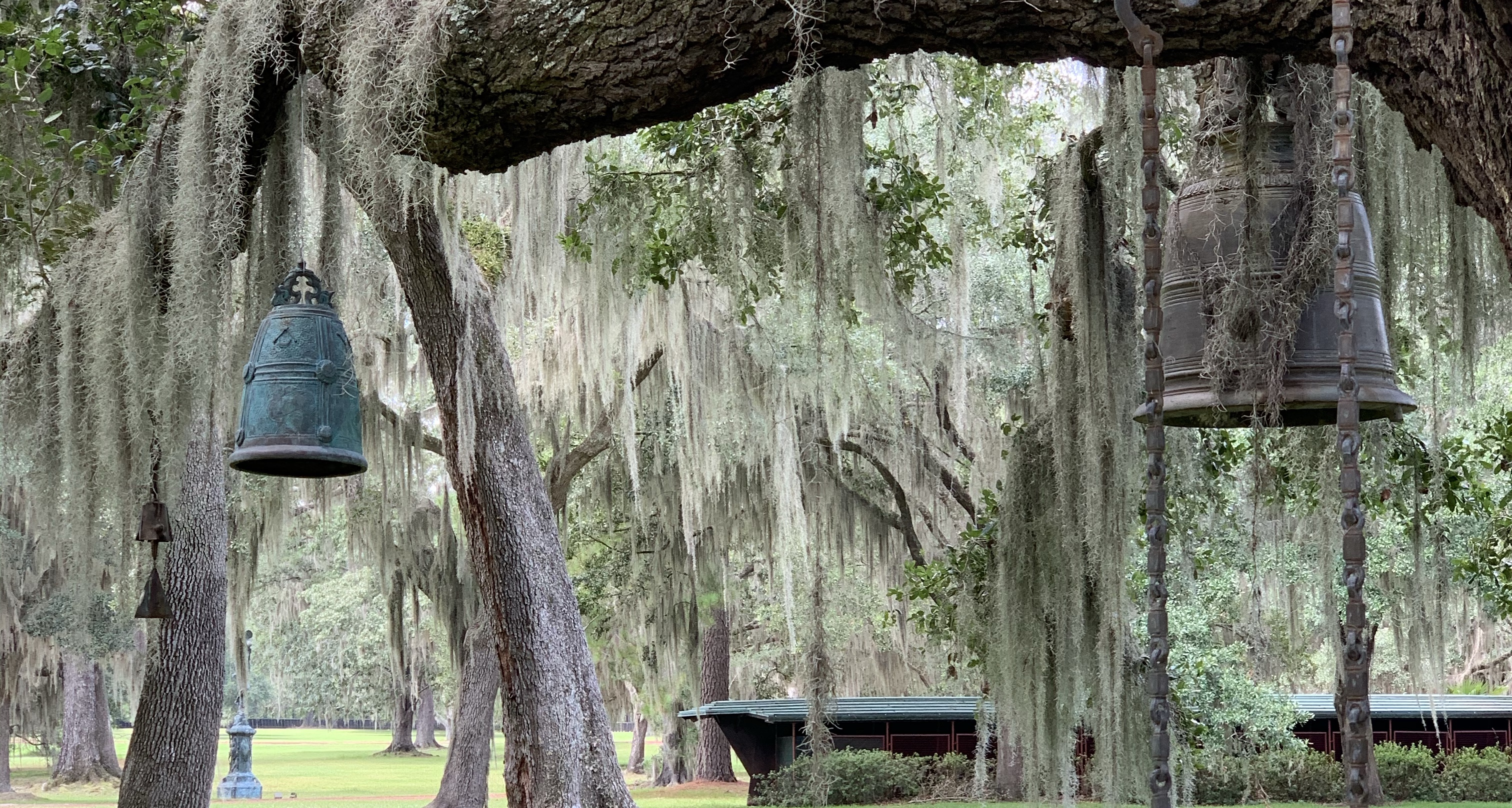 The Low Country