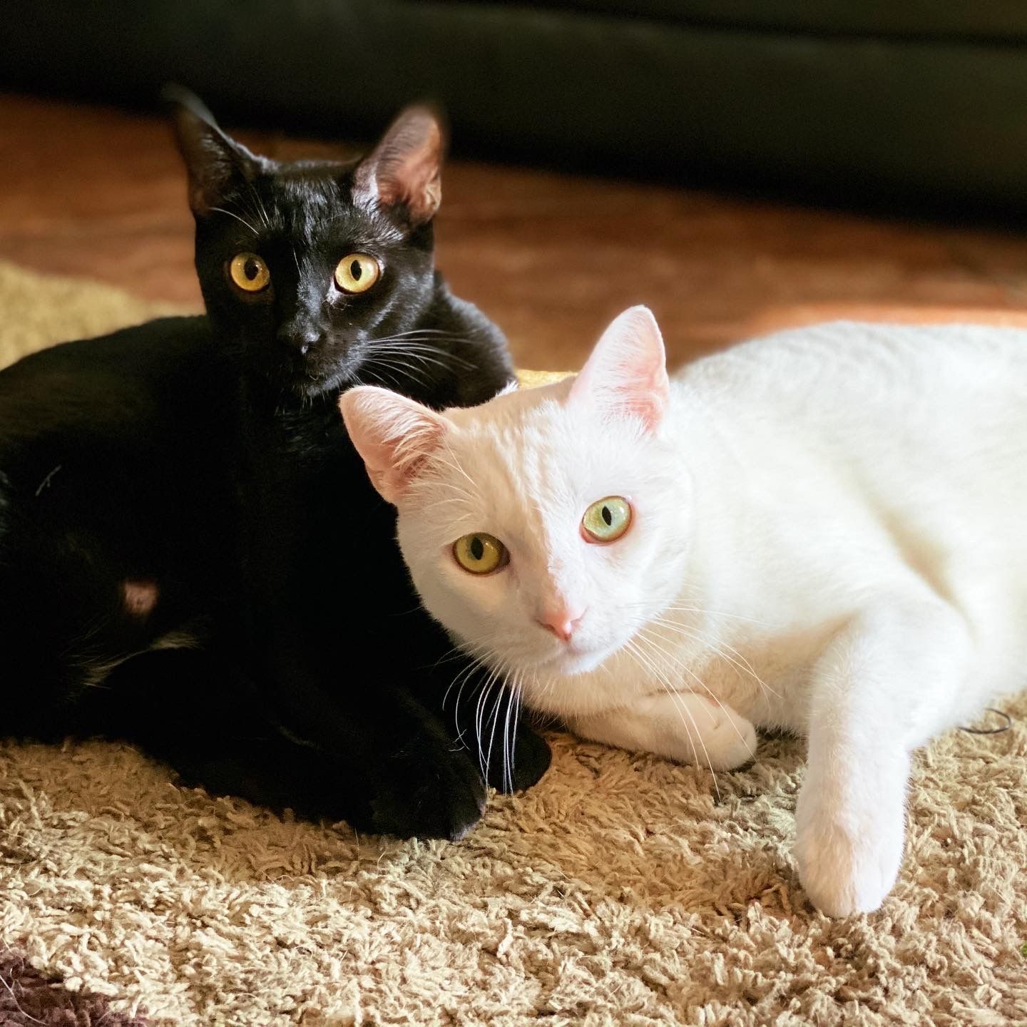 Remy and Logan