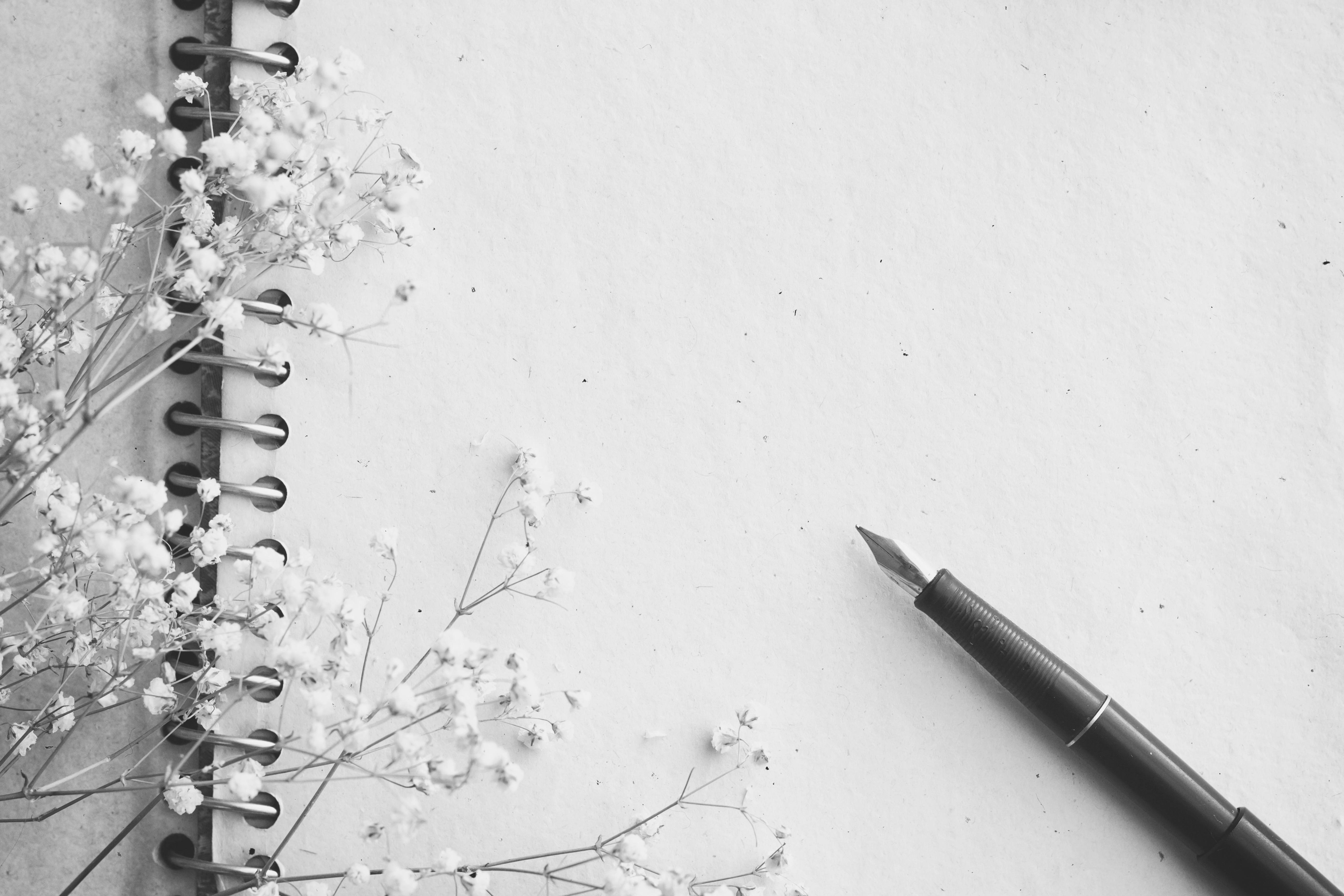 Journal