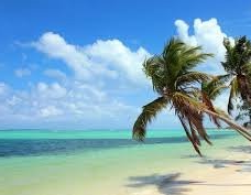 Travel Info - Find your Region Below