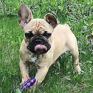 Wilma 
