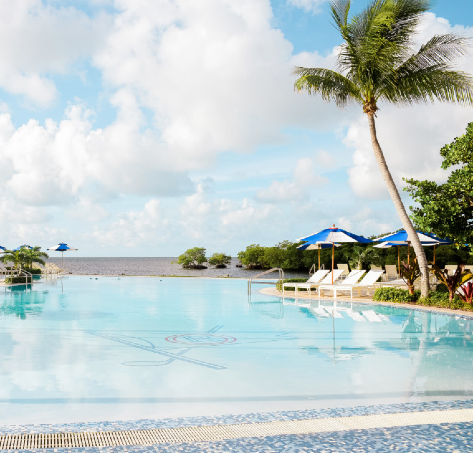 Travel & Things to Do