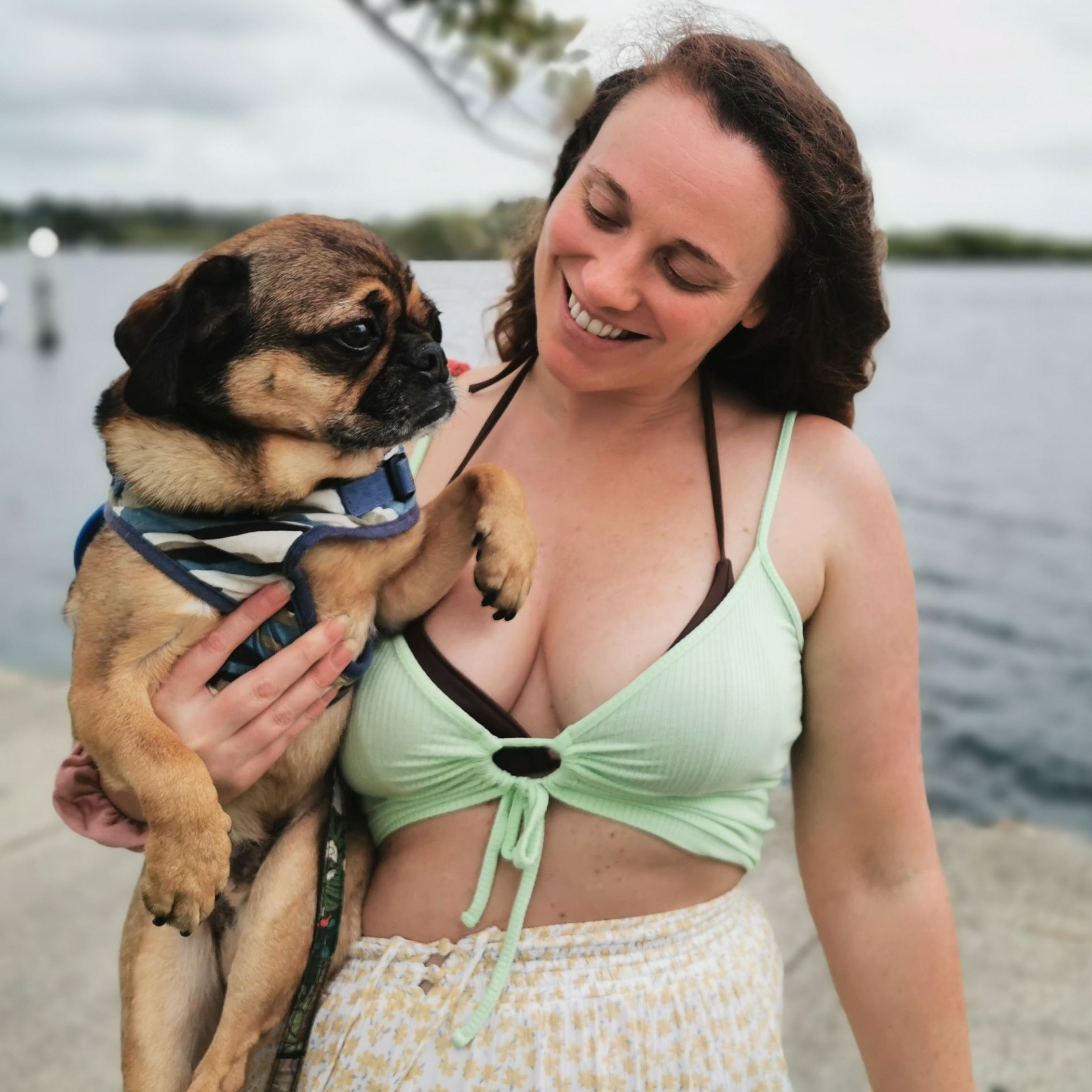Charles-pug