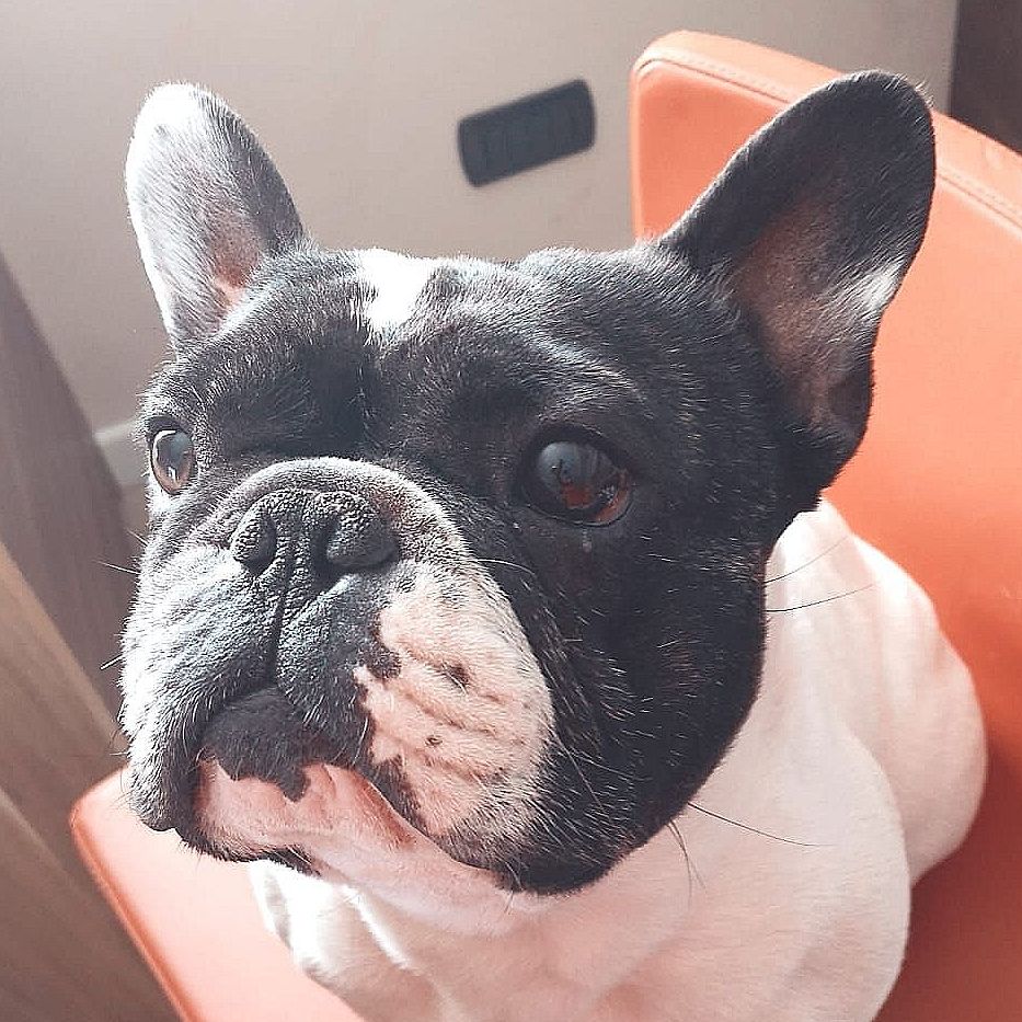 Piero 