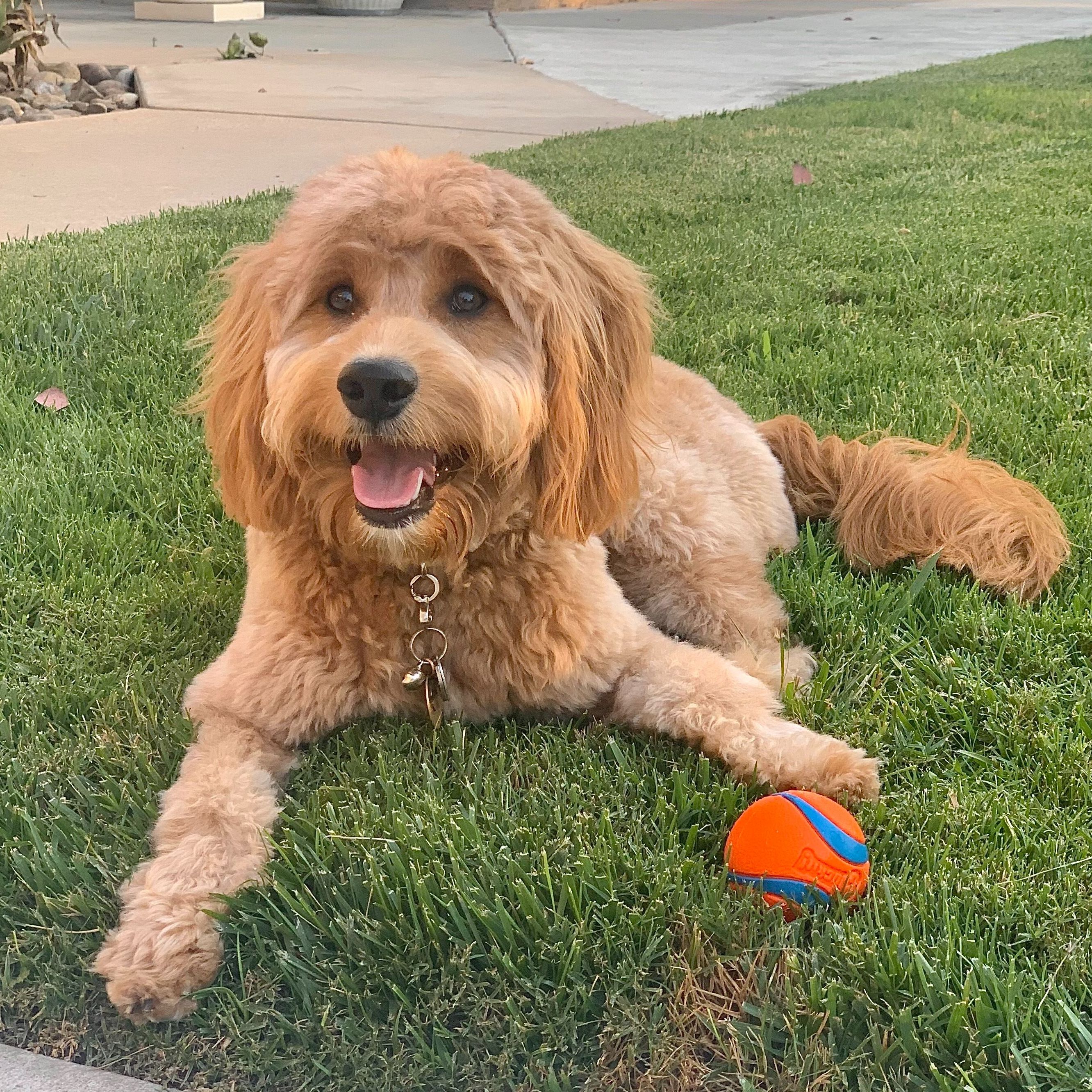 Charlie